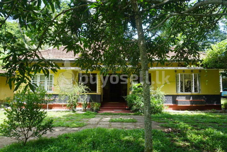 Beautifully Preserved Deco House With Paddy Views for sale in Galle