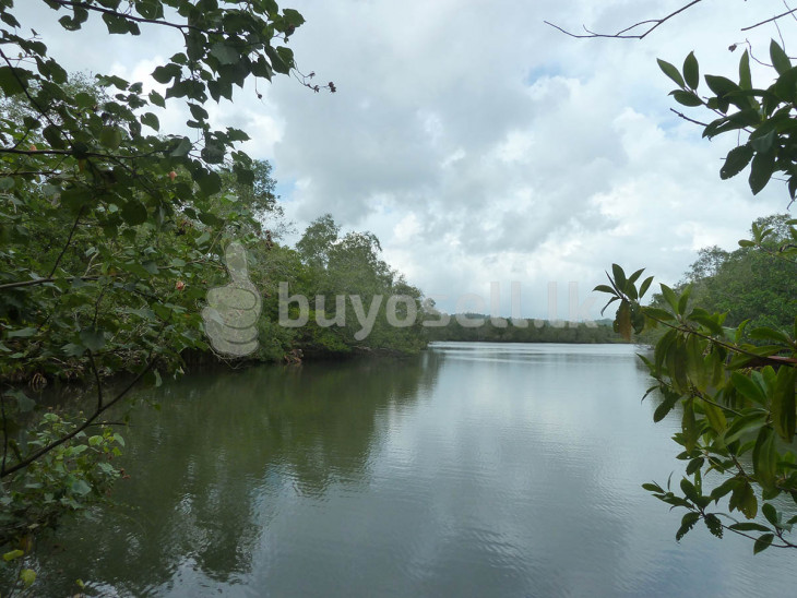 Mangroves, River Frontage And Views for sale in Galle