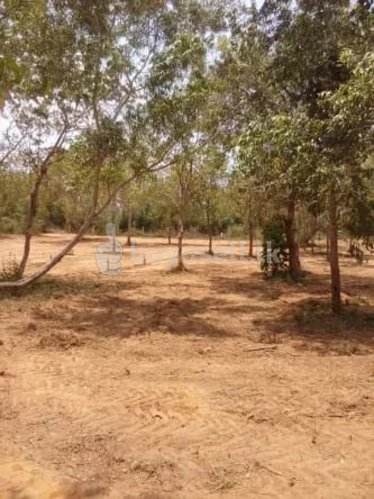 Land for sale Tangalle in Hambantota