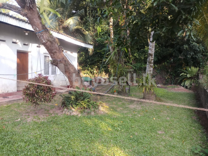 Highly Residential 21.5 Perches Land in Colombo