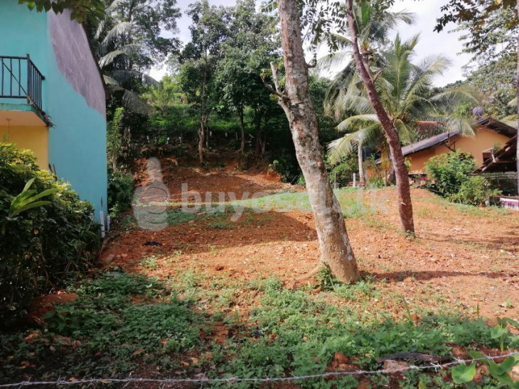 Land for Sale in Galle in Galle