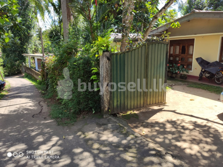 House with Land for Sale for sale in Kandy