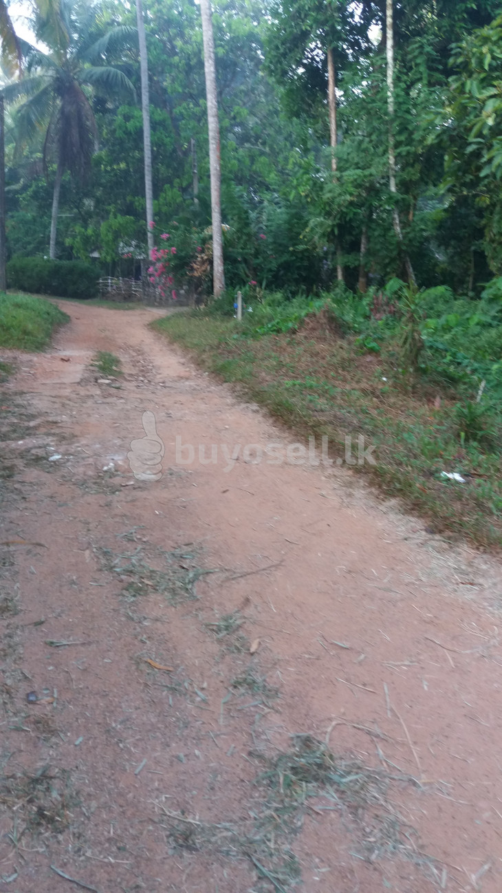 Land for Sale in Polgahawela in Kurunegala
