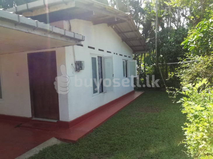 House for Sale in Panadura for sale in Kalutara