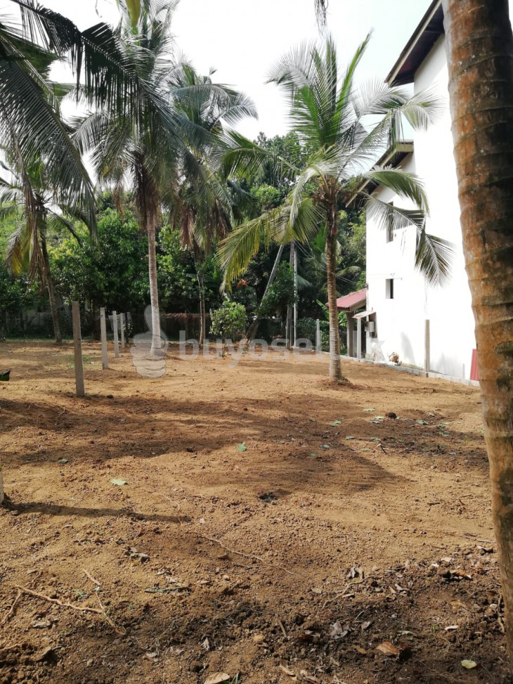 10  Perches Bare Land For Sale in Pamunuwila Kiribathgoda in Gampaha