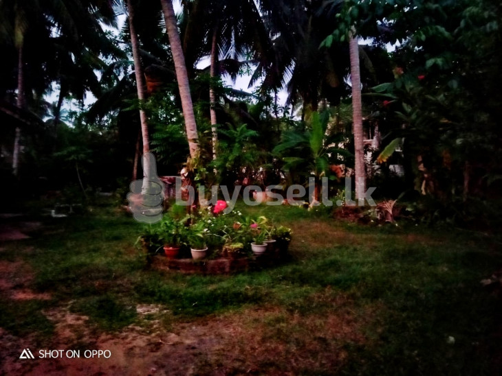House for sale in Bentota for sale in Galle