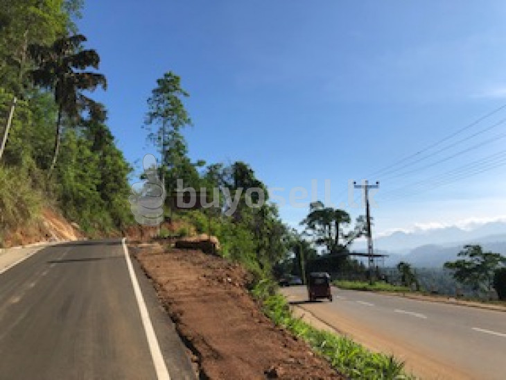 Land with a view for sale in Matale