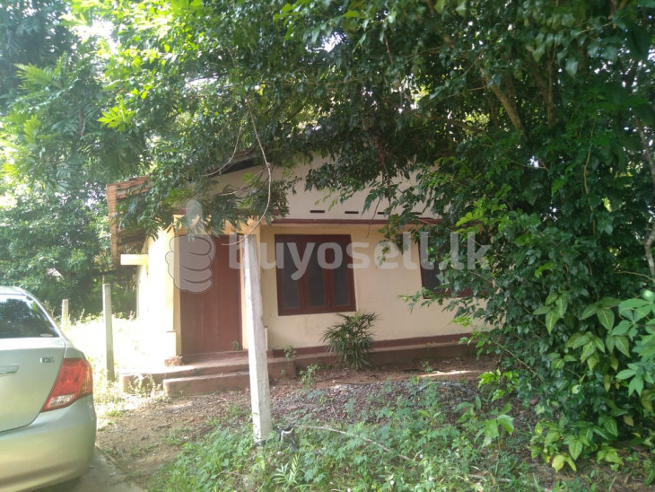 Land with House in Colombo