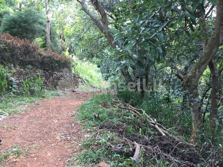 350p Land For Sale In Kandy Hanthana in Kandy