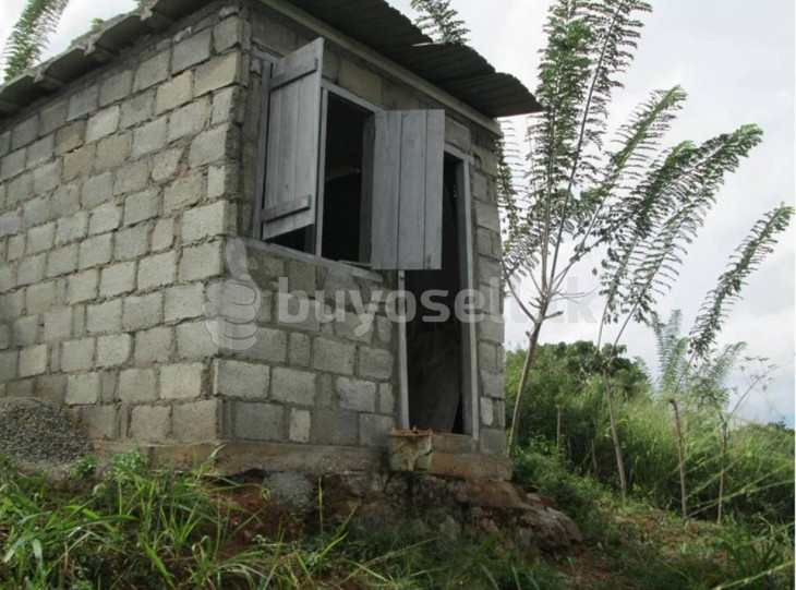20p Land For Sale In Kandy Doluwa in Kandy