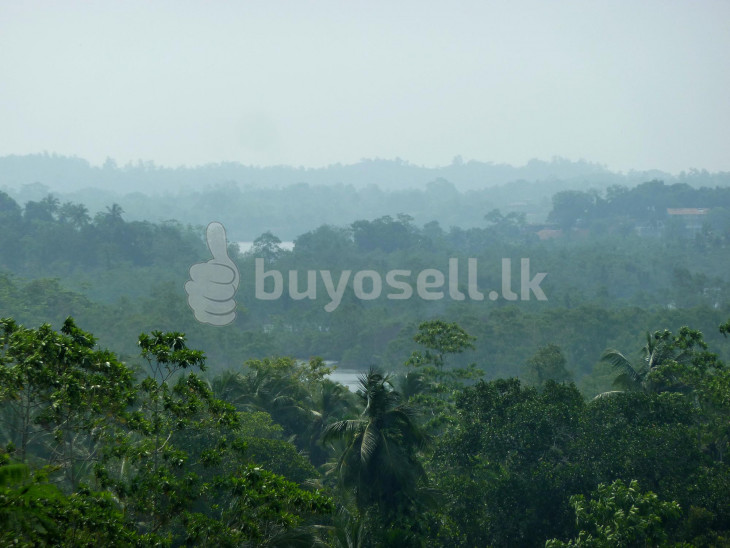 Elevated Land Surrounded By Lush Views – Kathaluwa in Galle