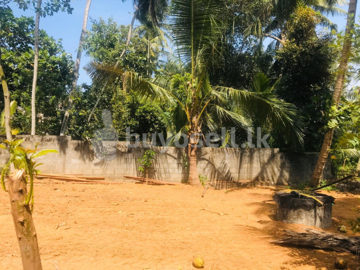 Land for Sale in Near Kesbewa in Colombo