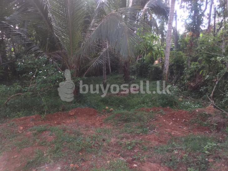A House and a Warehouse with a land for Sale for sale in Colombo