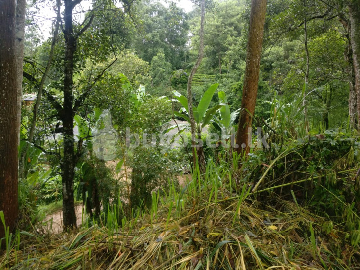 Land for sale in Bandarawela in Badulla