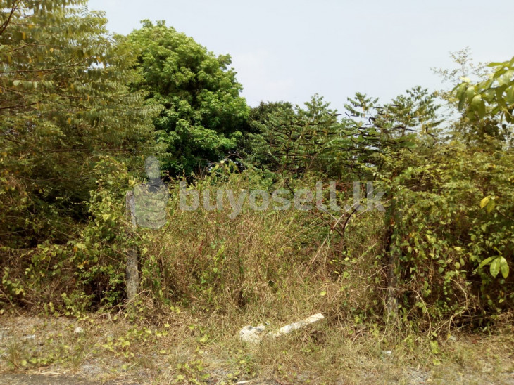 Land for sale at Nawagamuwa Ranala in Colombo