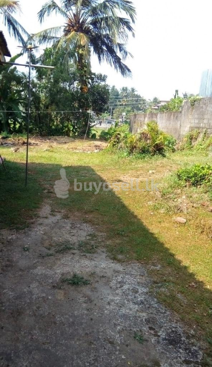 Land with  house in Colombo