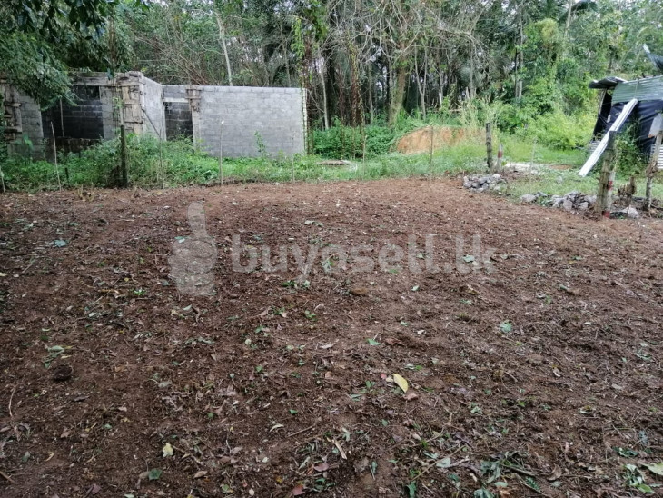 Land for  Sale in Colombo