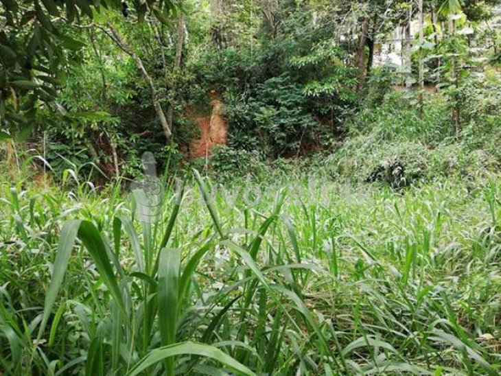 34p (17 x 2) Land for sale in Kandy City Limit (Upul Mawatha, Primrose Gardens) in Kandy
