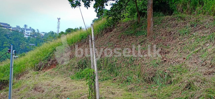 20p Land For Sale In Kandy Asgiriyav in Kandy