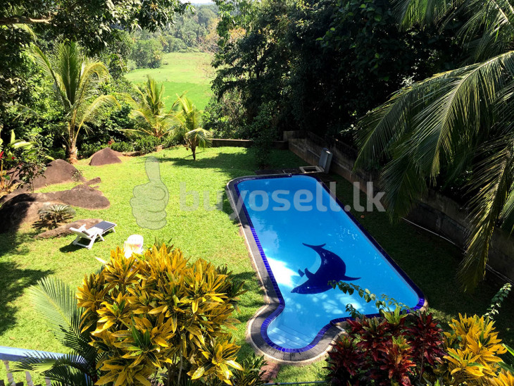 Paddy Field Views Delight for sale in Galle