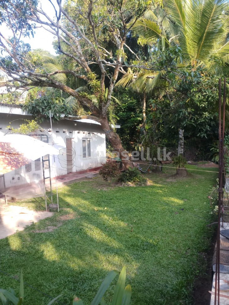 Highly Residential 21.5 Perches Land in Colombo