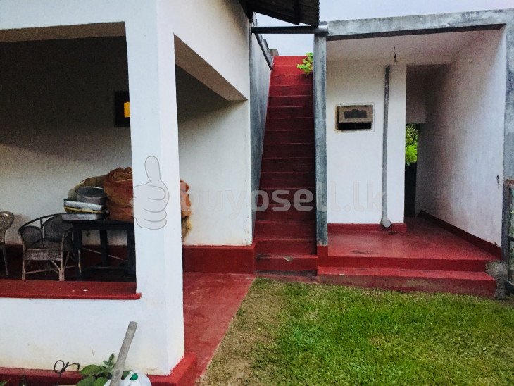Newly repaired house for sale for sale in Gampaha