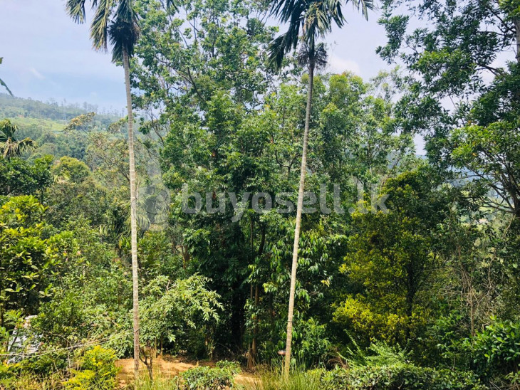 House with Land For Sale In Pupuressa for sale in Kandy