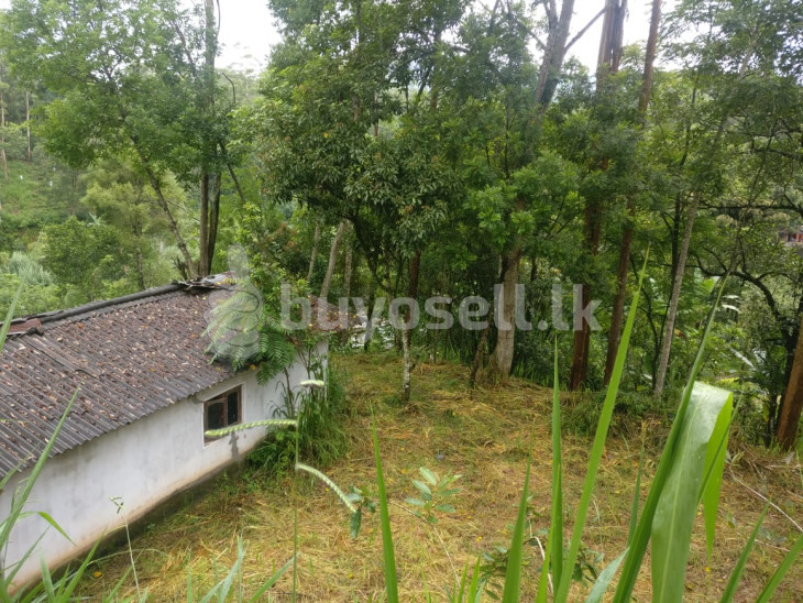 Land for sale in Bandarawela in Badulla