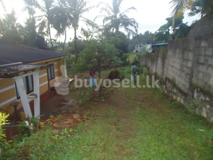 Land with  house in Colombo