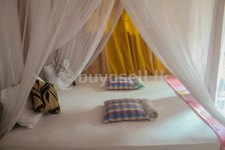 Hotel FORT FIFTY INN for sale in Galle