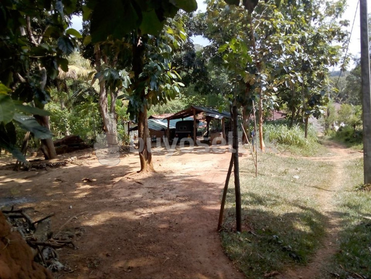72 Acres Land With Colonial Bungalow For Sale In Central Province. in Kandy