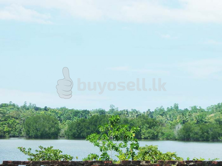 Generous Plot With Impressive Lake Views in Galle