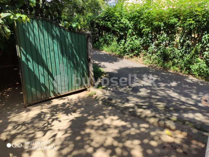 House with Land for Sale for sale in Kandy