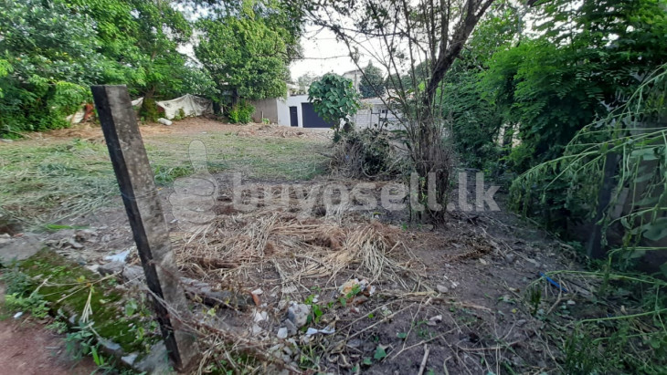 Land for sale in Makola in Gampaha