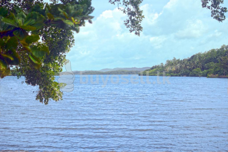 Beautiful Villa With Exceptional Views Over Koggala Lake for sale in Galle