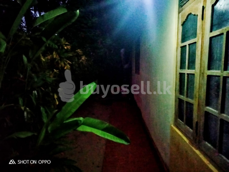House for sale in Bentota for sale in Galle