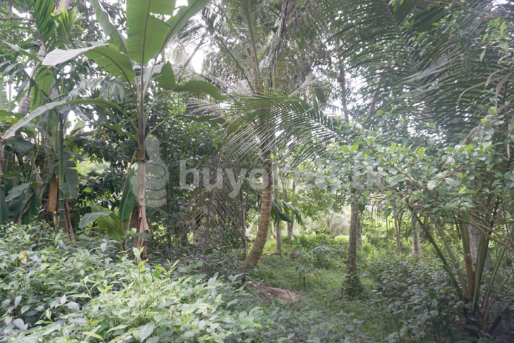 Ahangama Colonial House for sale in Galle