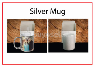 Silver Mug in Colombo